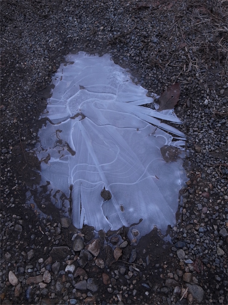 f:id:kosanikki:20190123185044j:image