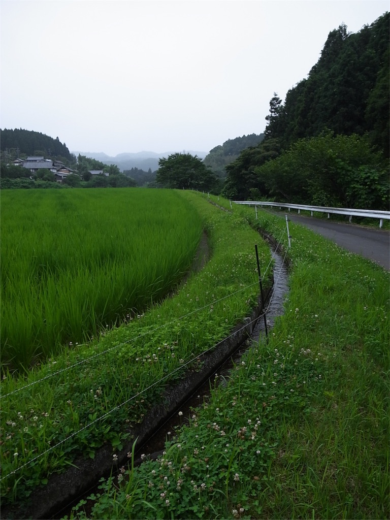 f:id:kosanikki:20190710211516j:image