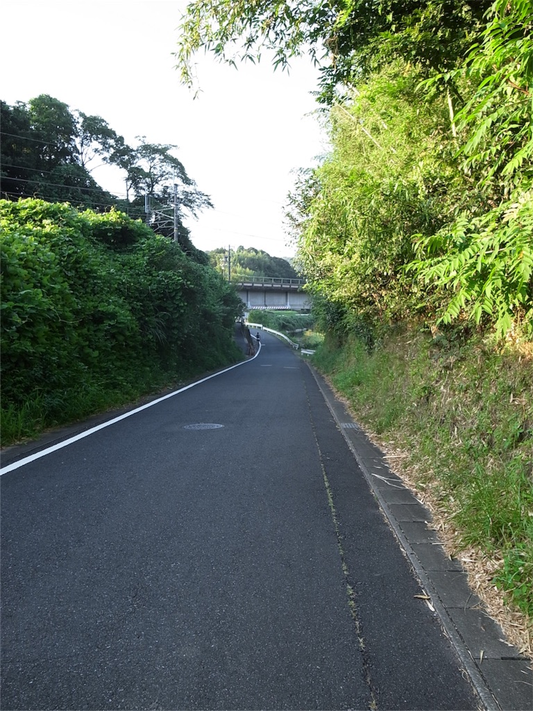 f:id:kosanikki:20190811210125j:image