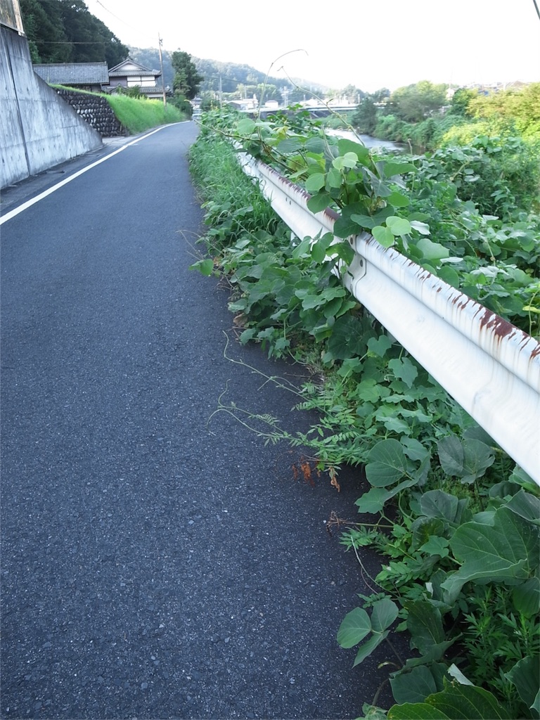 f:id:kosanikki:20190811210131j:image