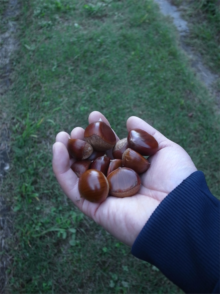 f:id:kosanikki:20191010183208j:image