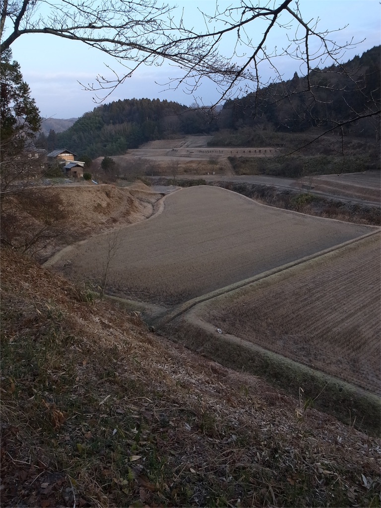 f:id:kosanikki:20200120180850j:image