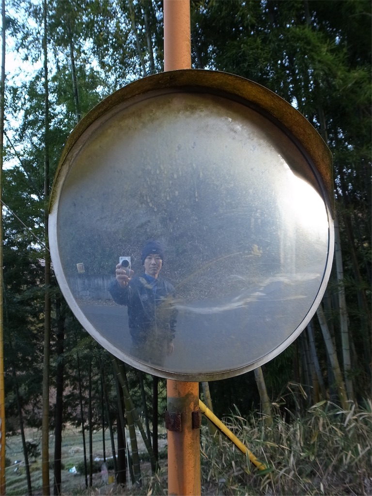 f:id:kosanikki:20200120180858j:image