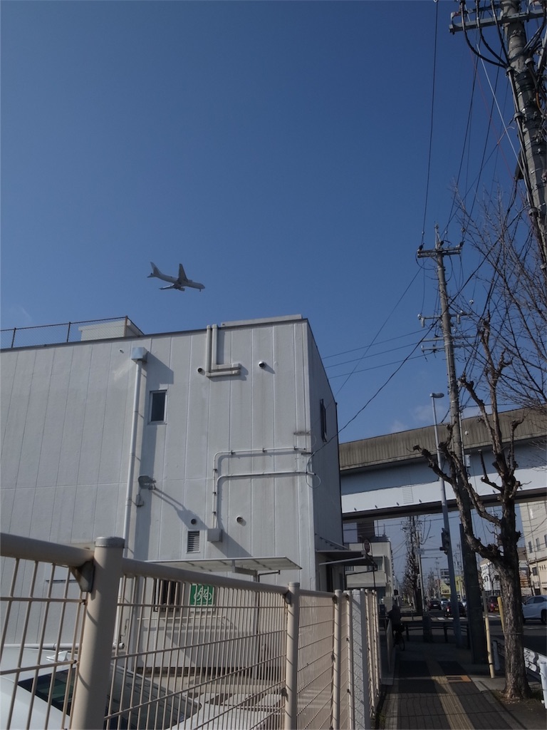 f:id:kosanikki:20200208180650j:image