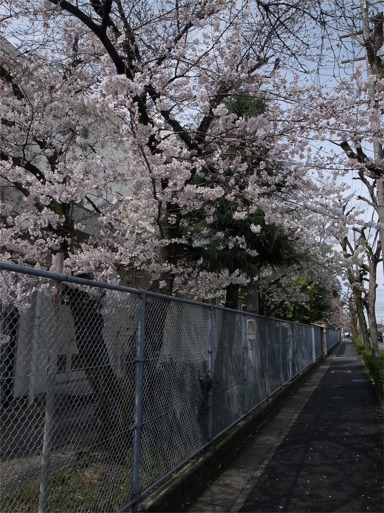 f:id:kosanikki:20200328174120j:image