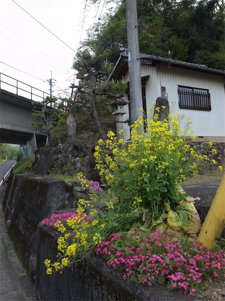 f:id:kosanikki:20200504002938j:image