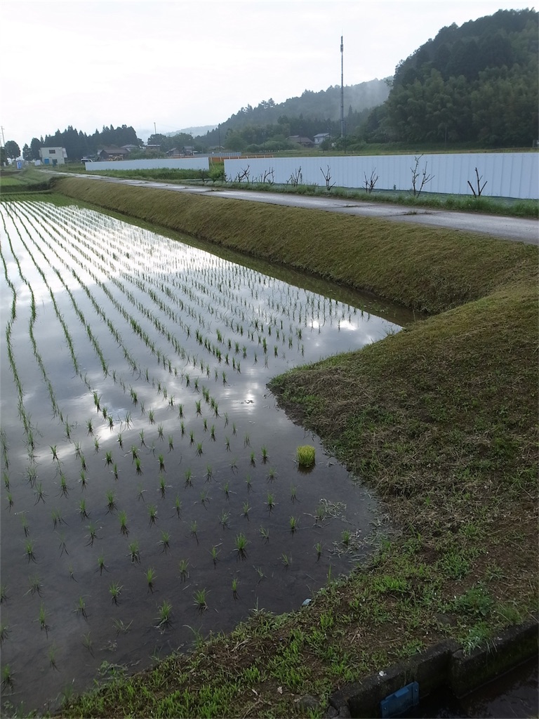 f:id:kosanikki:20200527183153j:image