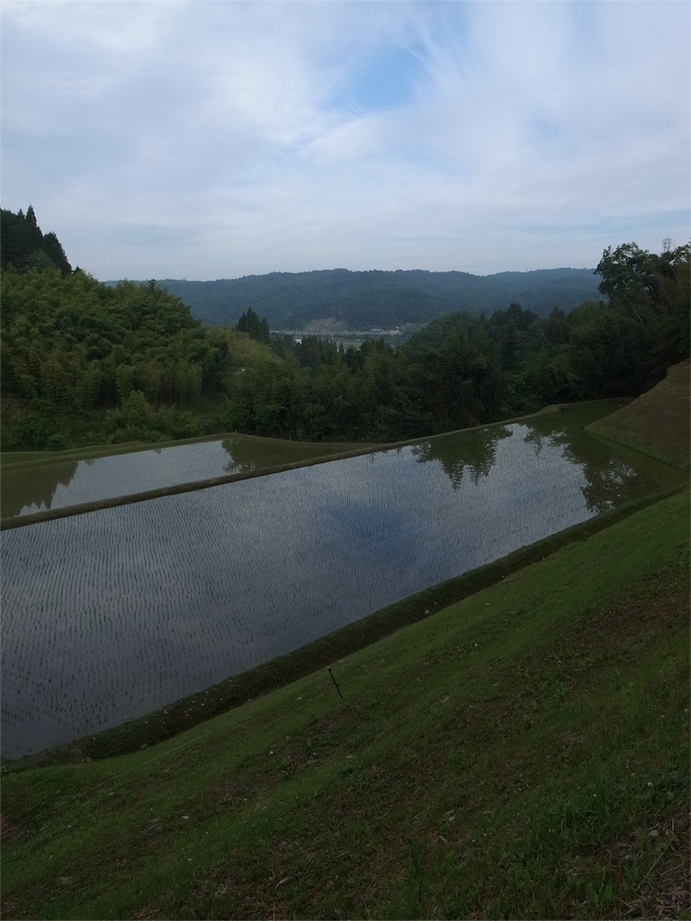 f:id:kosanikki:20200528180231j:image