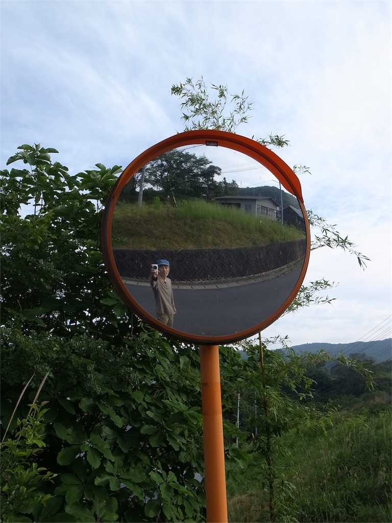 f:id:kosanikki:20200528180240j:image