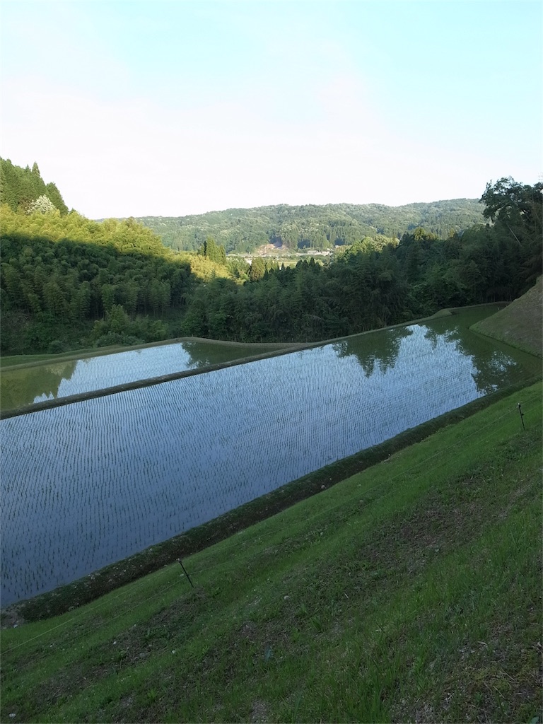 f:id:kosanikki:20200530125022j:image