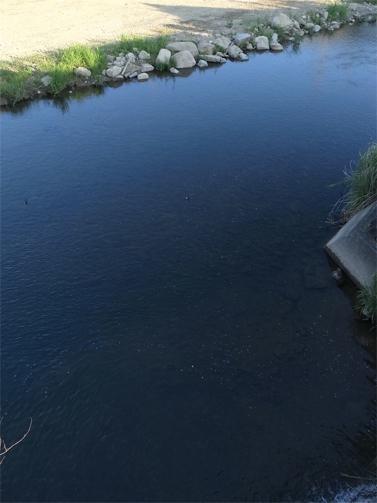 f:id:kosanikki:20200530125034j:image