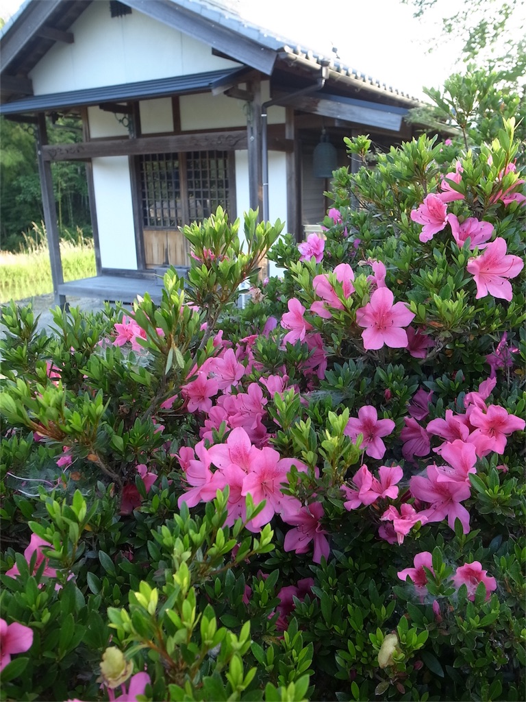 f:id:kosanikki:20200608181215j:image