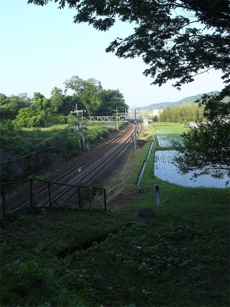 f:id:kosanikki:20200608181223j:image