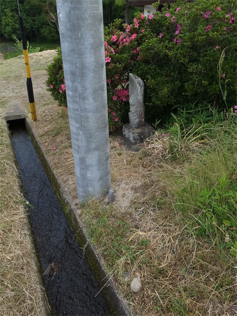 f:id:kosanikki:20200609181253j:image