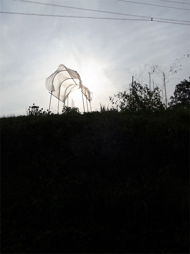 f:id:kosanikki:20200609181256j:image