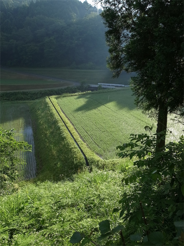 f:id:kosanikki:20200617182904j:image