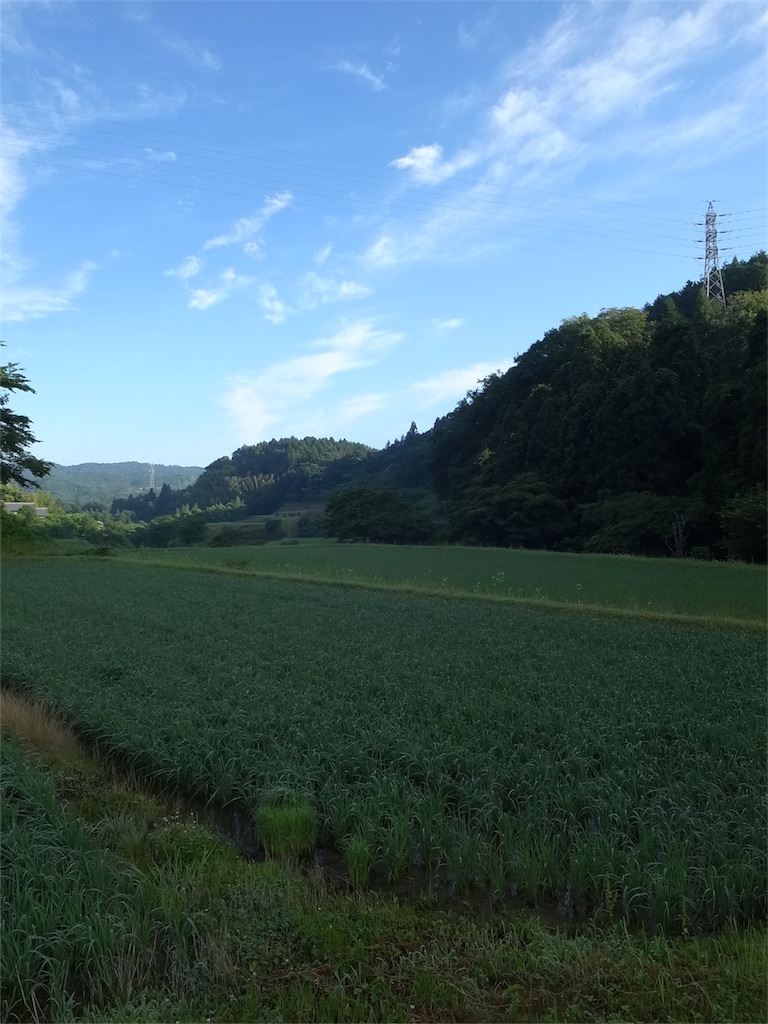 f:id:kosanikki:20200617182908j:image