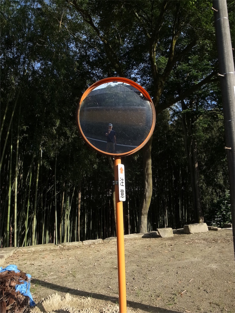 f:id:kosanikki:20200617182918j:image