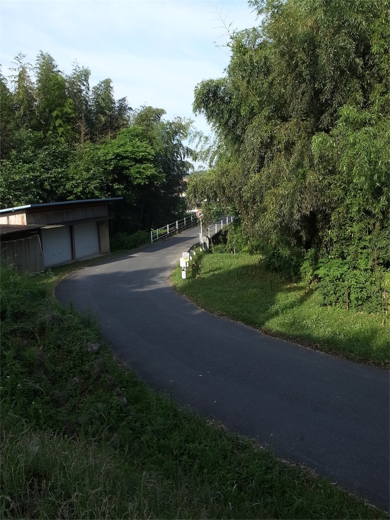 f:id:kosanikki:20200617182922j:image