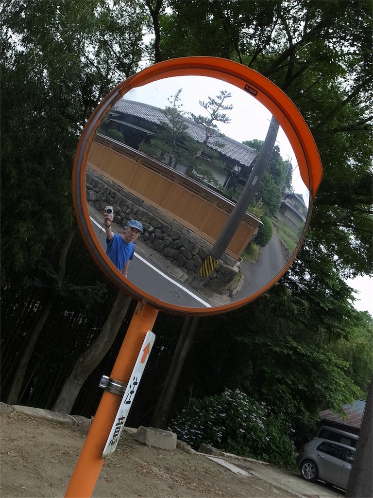 f:id:kosanikki:20200618173209j:image