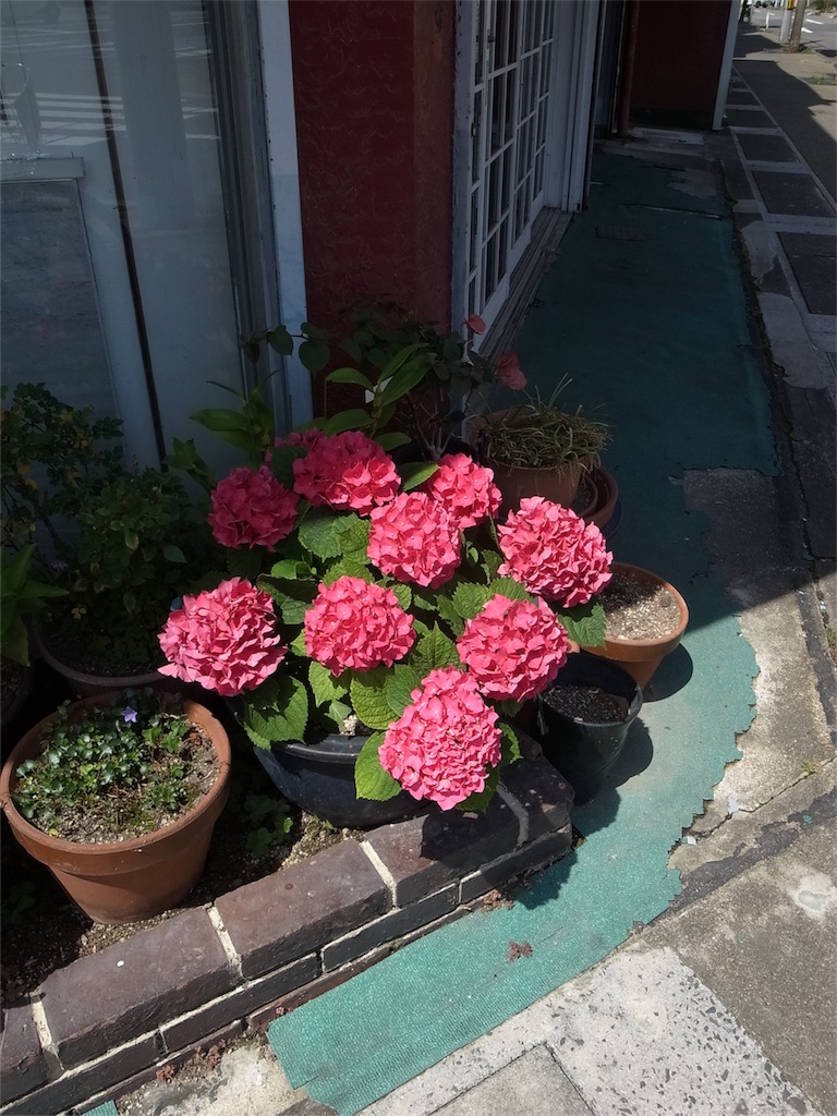 f:id:kosanikki:20200620173154j:image f:id:kosanikki:20200620173154j:image