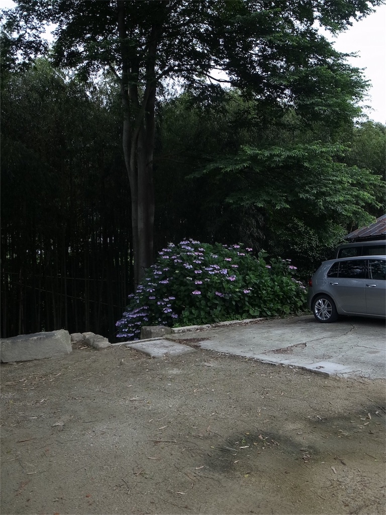 f:id:kosanikki:20200624183311j:image