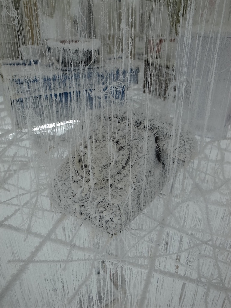 f:id:kosanikki:20200628185330j:image