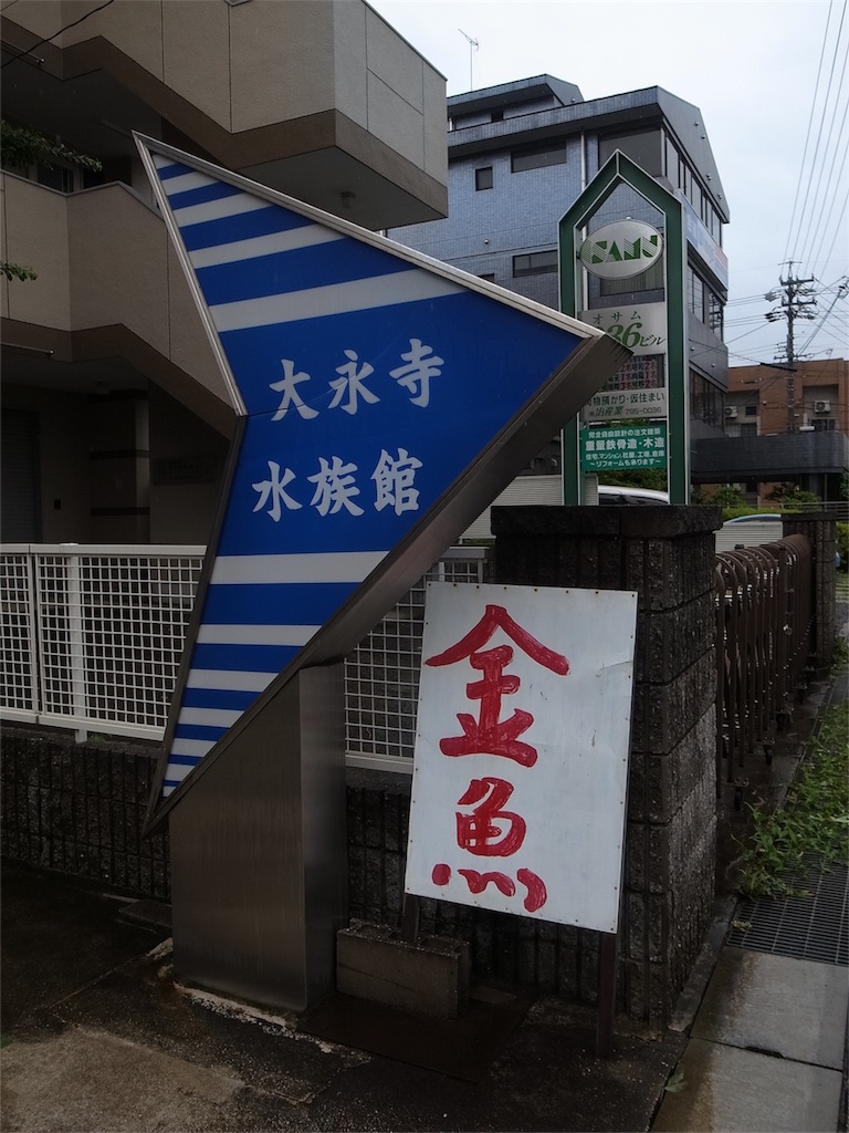 f:id:kosanikki:20200711165715j:image