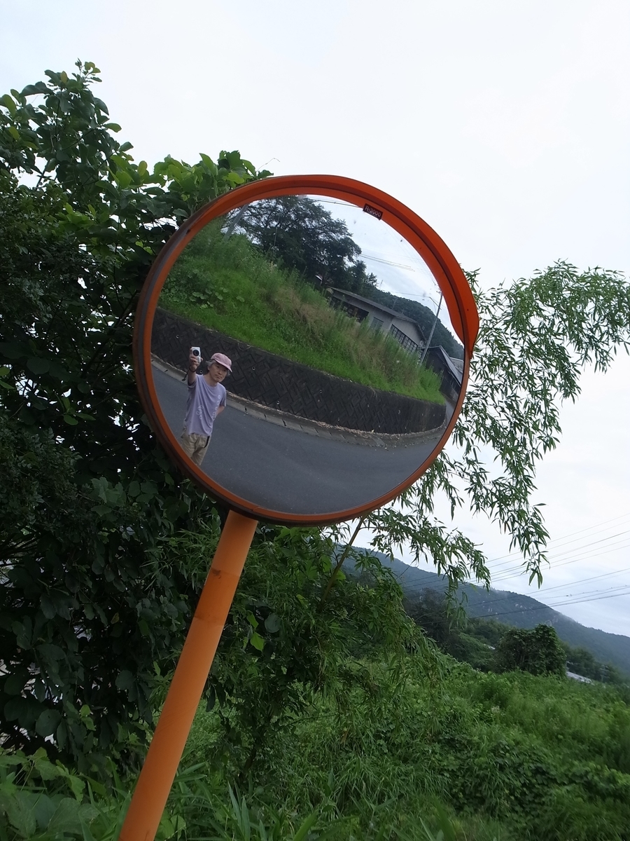 f:id:kosanikki:20200713180957j:plain