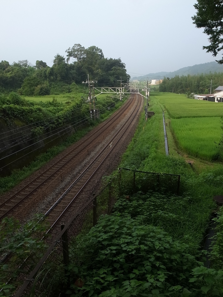 f:id:kosanikki:20200806182939j:plain