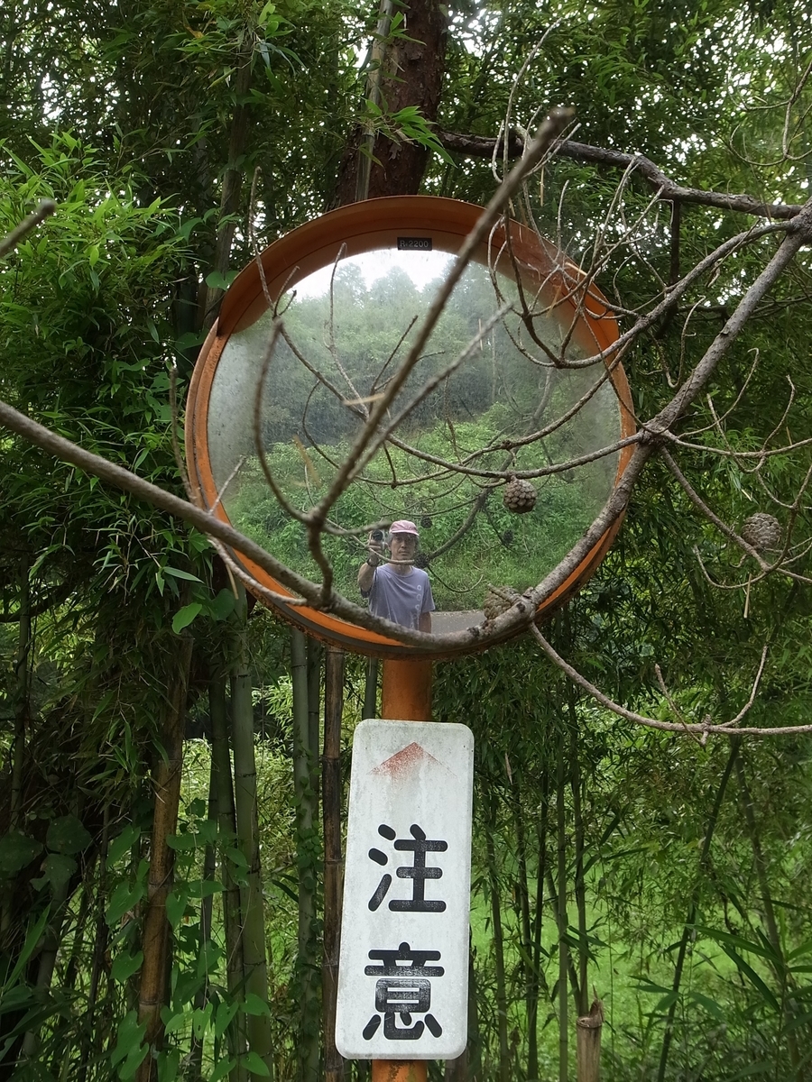 f:id:kosanikki:20200806182949j:plain