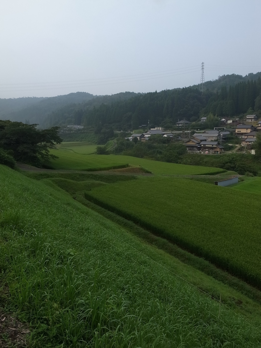 f:id:kosanikki:20200806182958j:plain