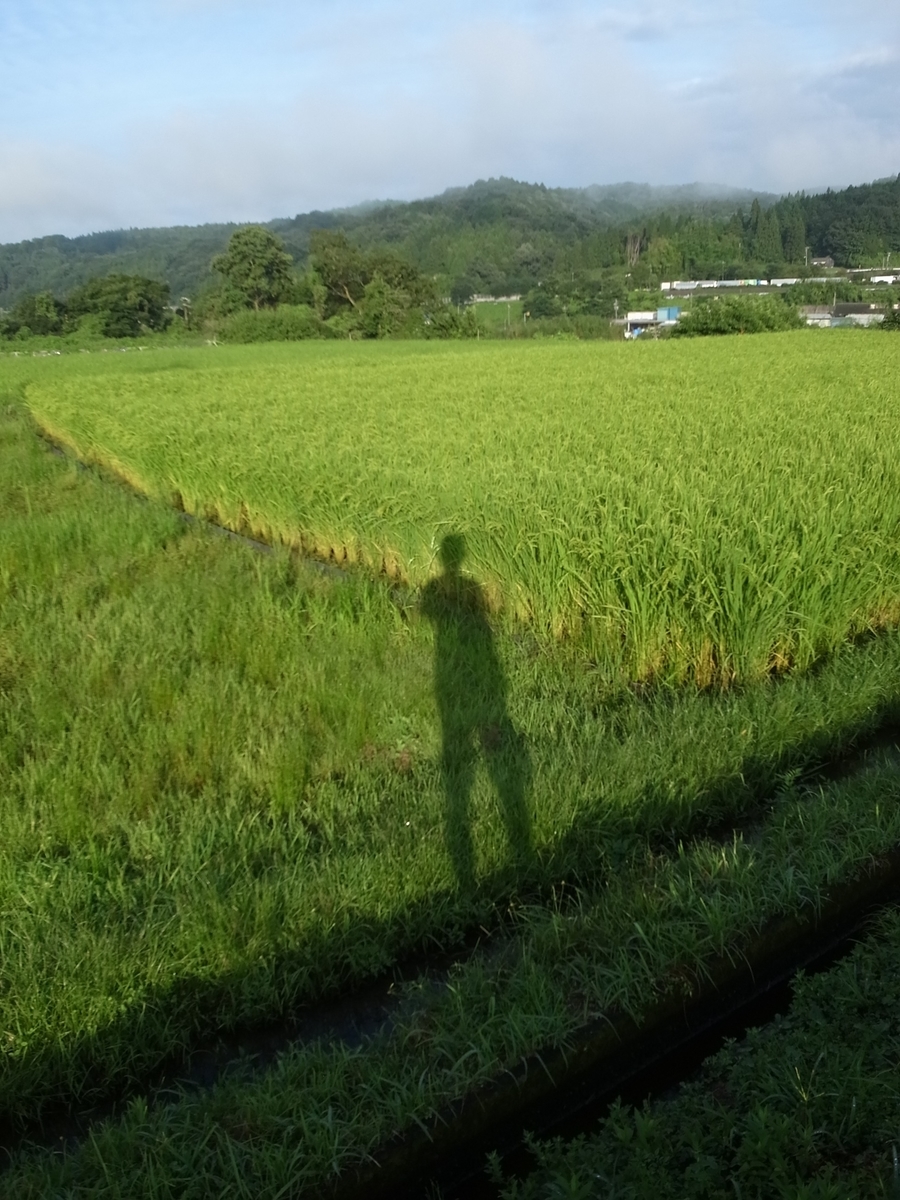 f:id:kosanikki:20200812180724j:plain