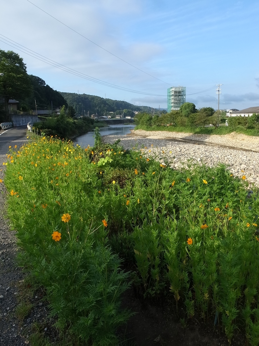 f:id:kosanikki:20200812180745j:plain