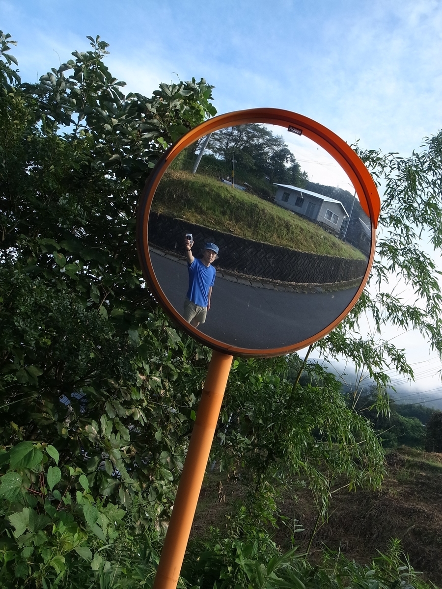 f:id:kosanikki:20200812180800j:plain