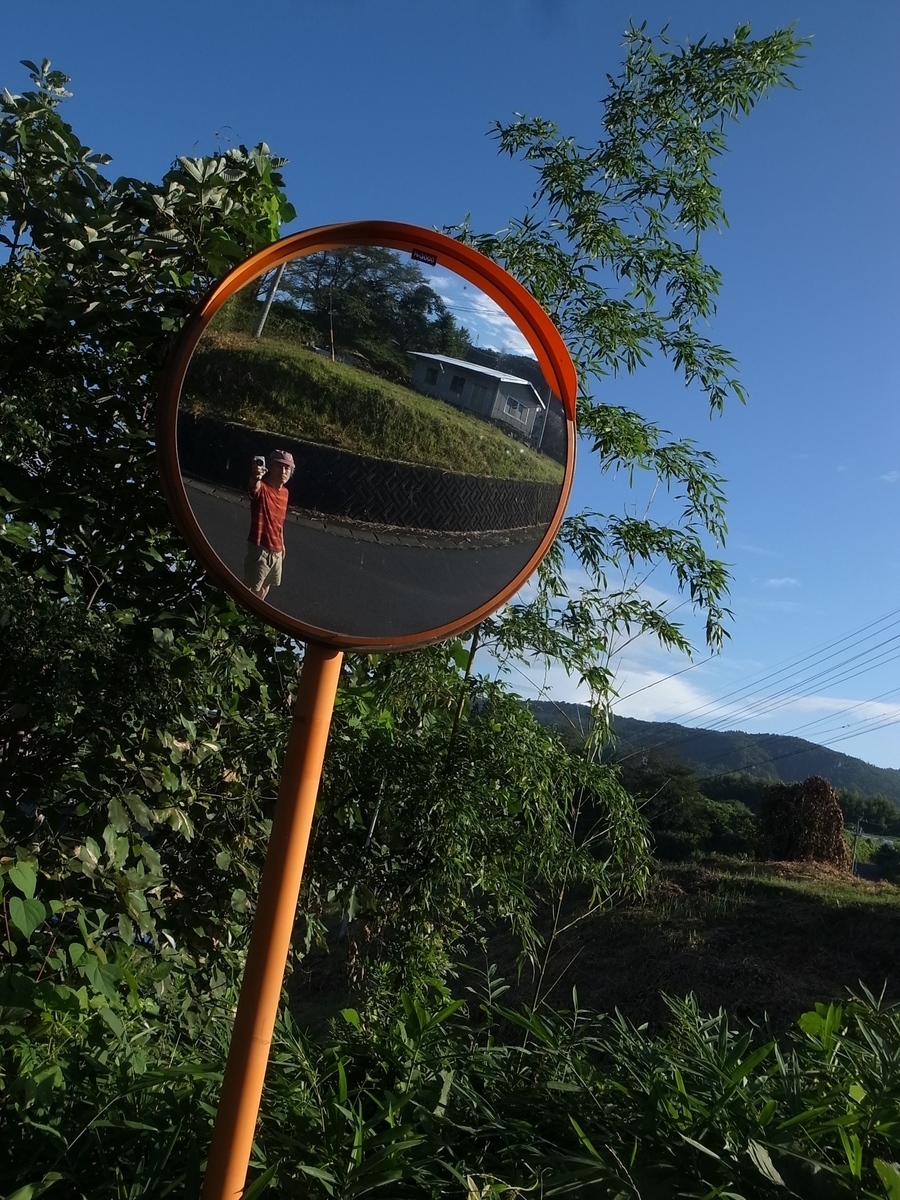 f:id:kosanikki:20200813190200j:plain