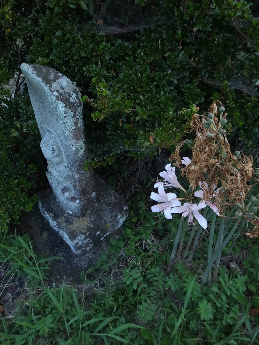 f:id:kosanikki:20200818194414j:plain