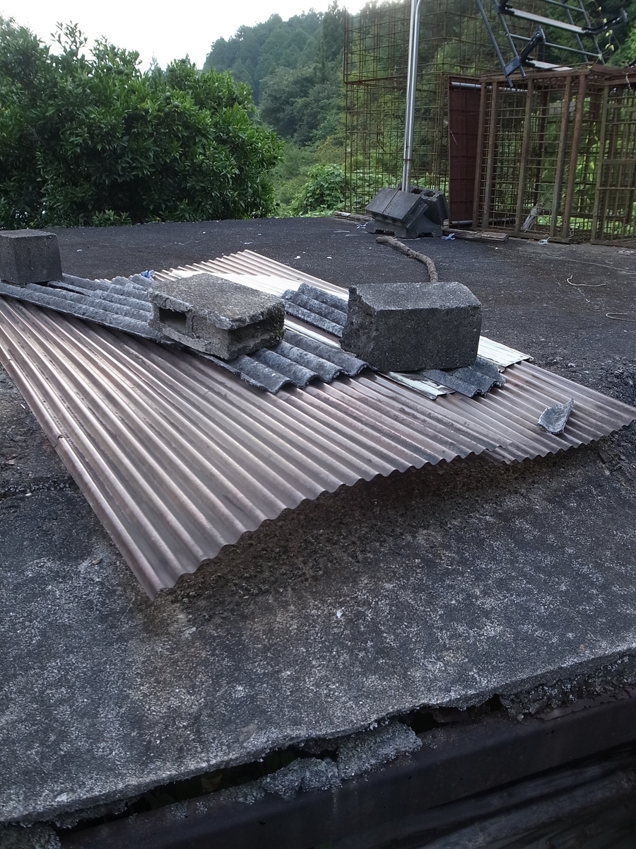 f:id:kosanikki:20200819180659j:plain