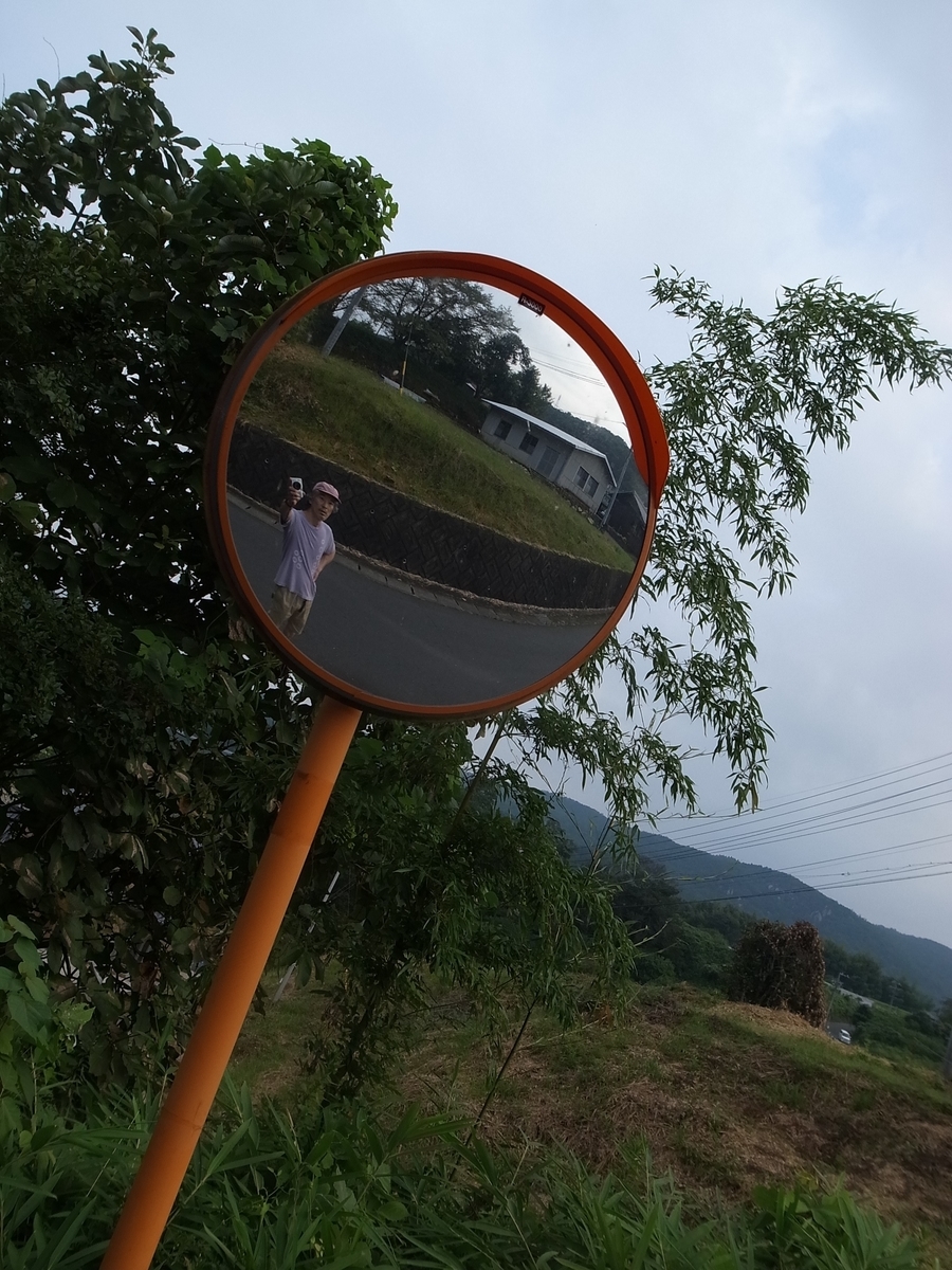 f:id:kosanikki:20200819180735j:plain