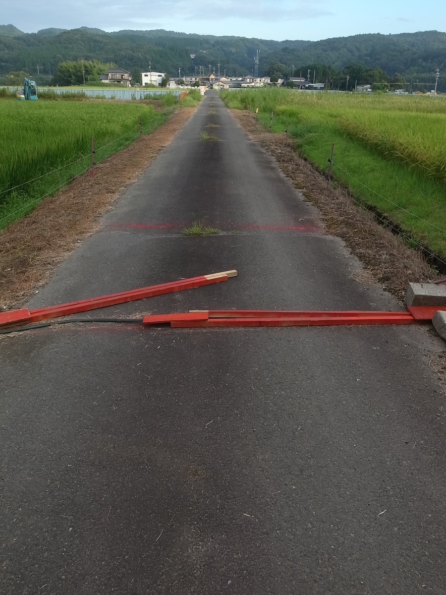 f:id:kosanikki:20200827202902j:plain