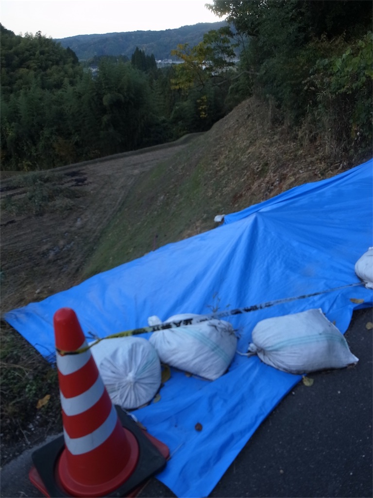 f:id:kosanikki:20201105172421j:image