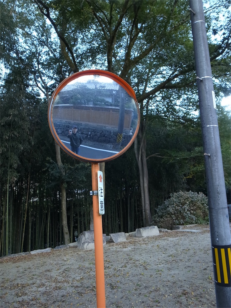 f:id:kosanikki:20201105172435j:image