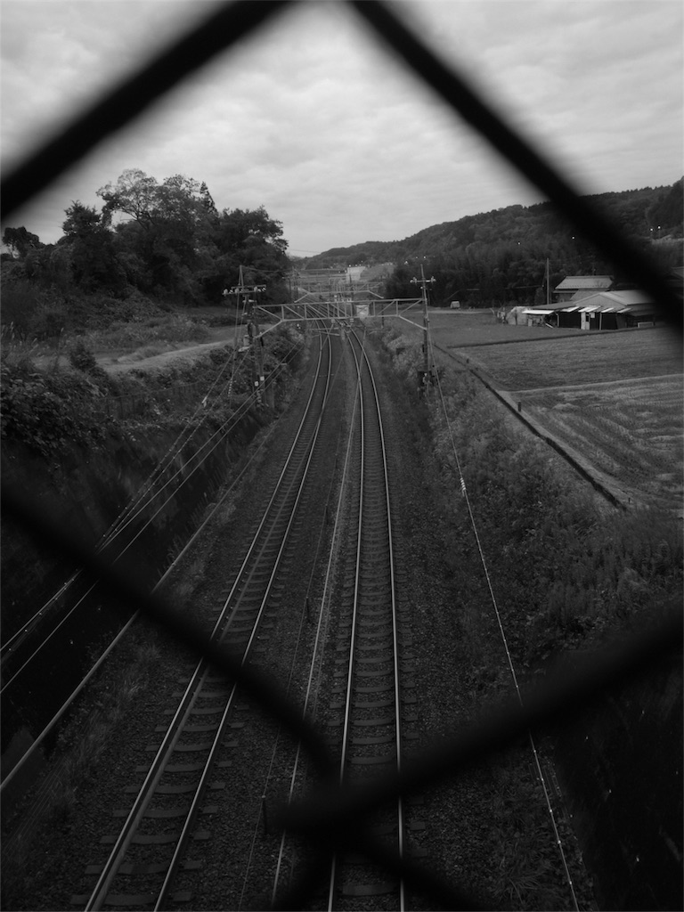 f:id:kosanikki:20201112183505j:image