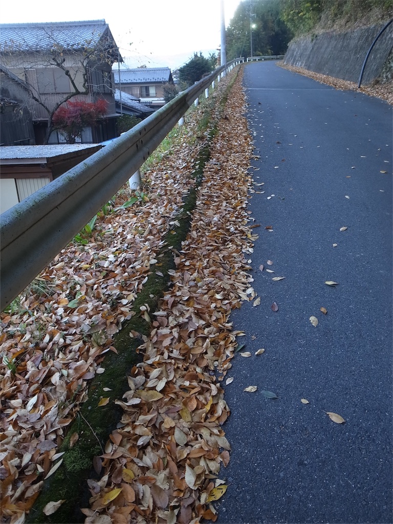 f:id:kosanikki:20201116180100j:image