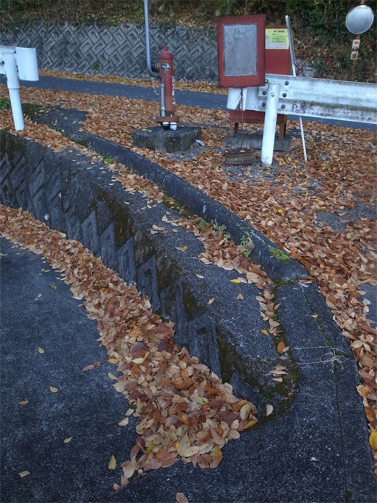 f:id:kosanikki:20201117182942j:image