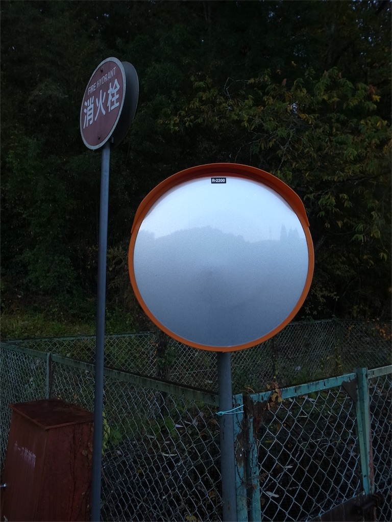 f:id:kosanikki:20201117182949j:image