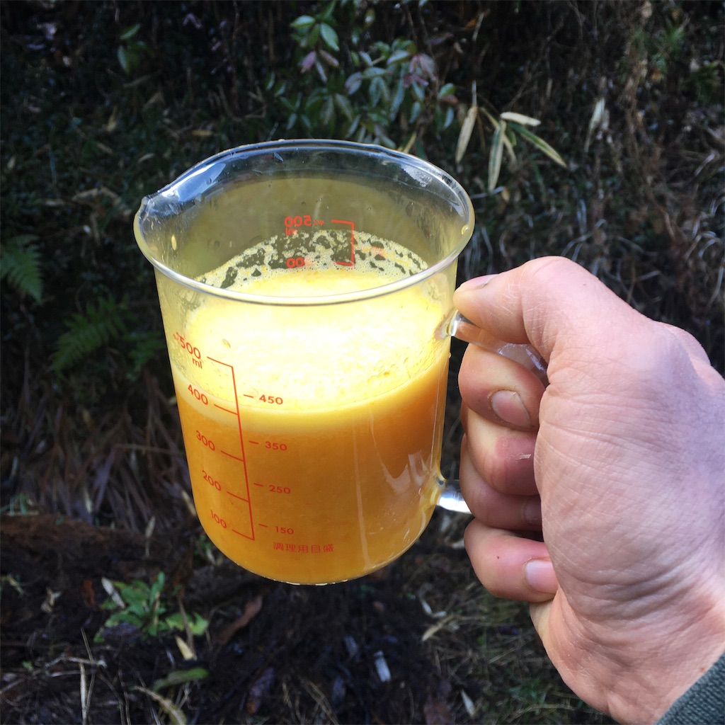 f:id:kosanikki:20210128170615j:image