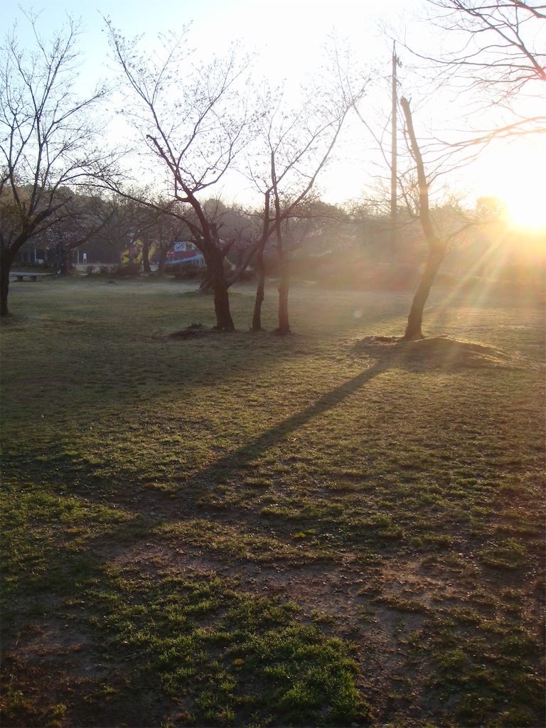 f:id:kosanikki:20210323140510j:image