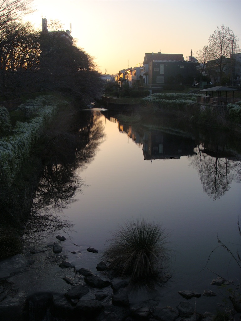 f:id:kosanikki:20210324131829j:image