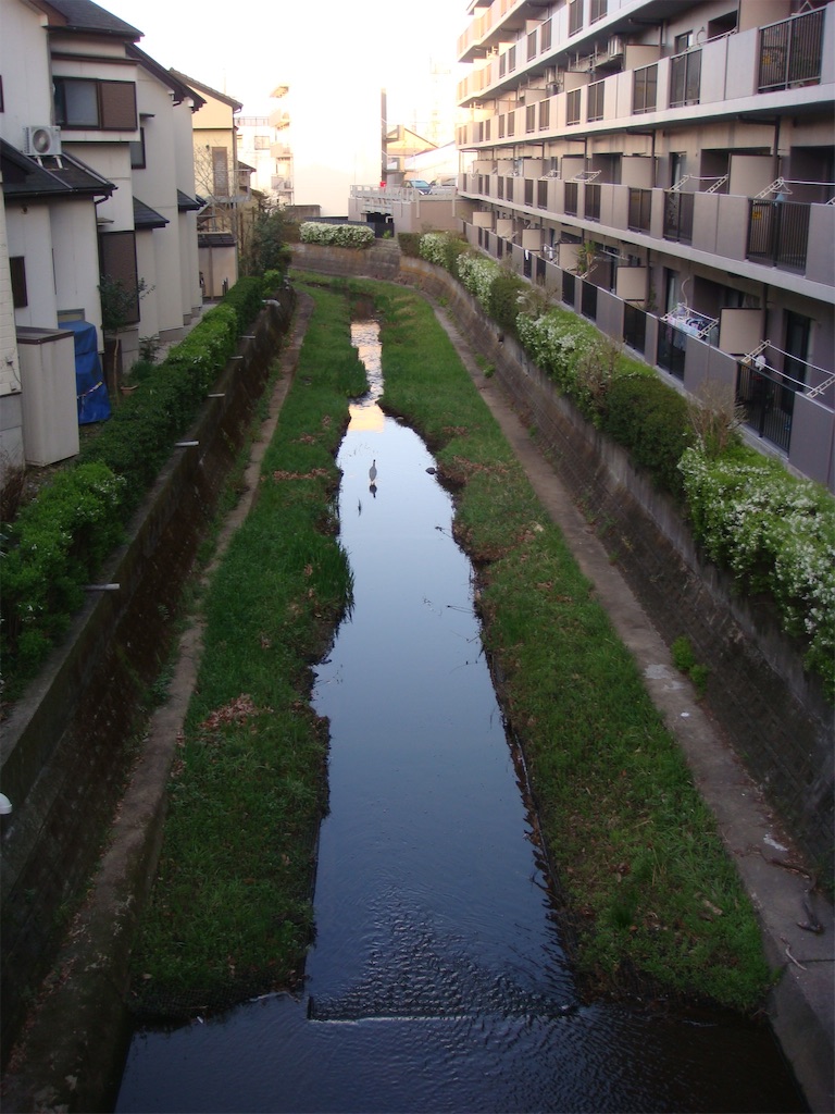 f:id:kosanikki:20210324131849j:image